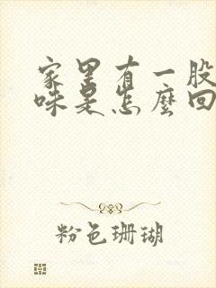 家里有一股尿骚味是怎么回事