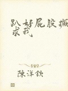 趴好屁股撅起来求我