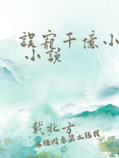 误宠千亿小甜妻 小说