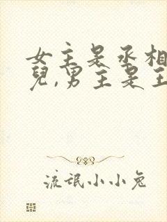 女主是丞相的女儿,男主是王爷