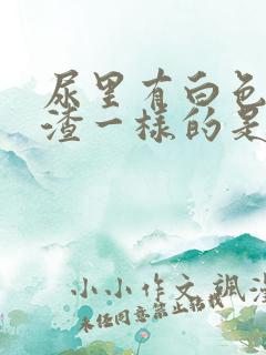 尿里有白色豆腐渣一样的是什么