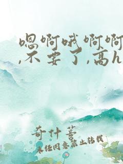 嗯啊哦啊啊啊啊,不要了,高hnp