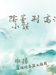 阴蒂 刑 高潮 小说