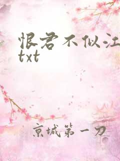 恨君不似江楼月txt