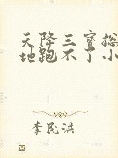 天降三宝总裁爹地跑不了小说txt