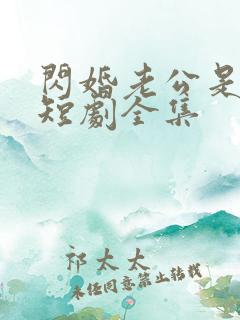 闪婚老公是豪门短剧全集