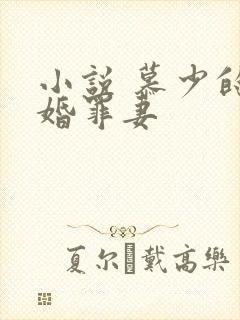 小说 慕少的隐婚罪妻