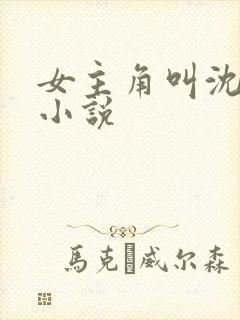 女主角叫沈柔的小说