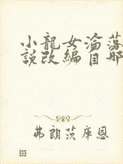 小龙女沦落记小说改编自哪部小说