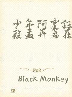 少年阿宾钰慧小毅孟卉篇在线阅读