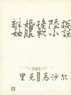 离婚后陆总只对她服软小说免费阅读