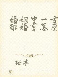 婚姻中一方出轨离婚会怎么判