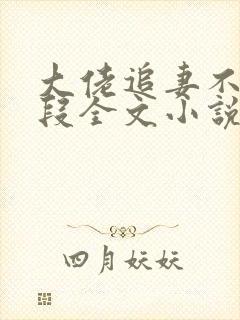 大佬追妻不择手段全文小说阅读全文