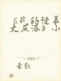 《我的徒弟都是大反派》小说