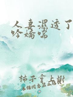 人妻湿透了,呻吟娇喘