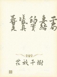 聂曦的妻子高秀美真实结局