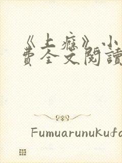 《上瘾》小说免费全文阅读在线