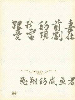 跟我的前妻谈恋爱电视剧在线