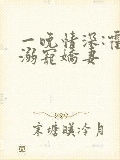 一晚情深:霍少溺宠娇妻