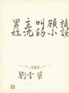 男主叫顾桢女主姓沈的小说