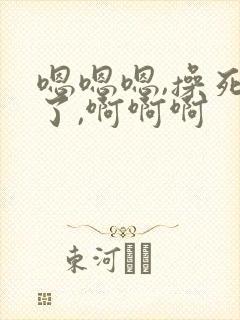 嗯嗯嗯,操死我了,啊啊啊