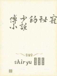 傅少的秘宠娇妻小说