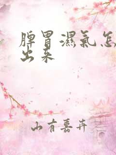 脾胃湿气怎么排出来