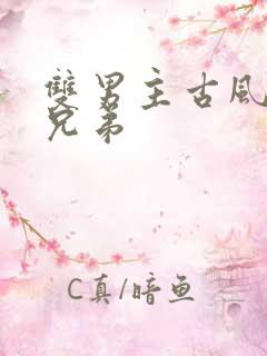 双男主古风骨科兄弟