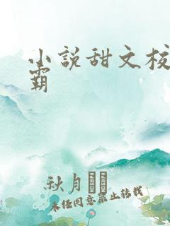 小说甜文校园校霸