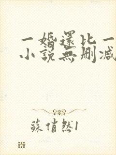 一婚还比一婚高小说无删减版