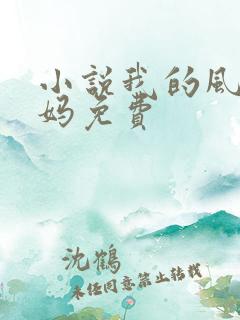 小说我的风流妈妈免费