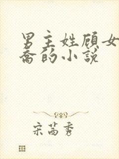 男主姓顾女主姓乔的小说