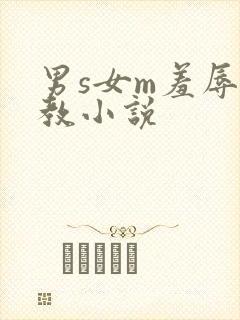 男s女m羞辱调教小说