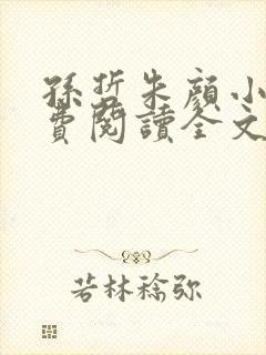 孙哲朱颜小说免费阅读全文最新章节