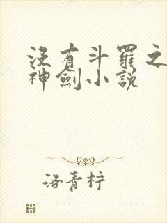 没有斗罗之灵珠神剑小说