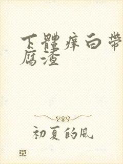 下体痒白带呈豆腐渣