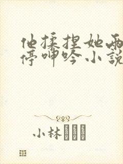 他揉捏她两乳不停呻吟小说