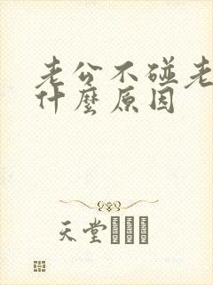 老公不碰老婆是什么原因