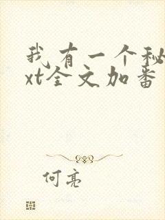 我有一个秘密txt全文加番外