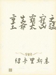 重生霸宠之摄政王爷太凶猛