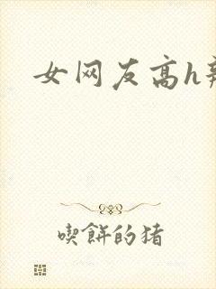 女网友高h辣文