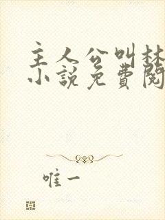 主人公叫林凡的小说免费阅读