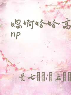 嗯啊哈哈高h np