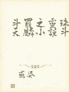 斗罗之灵珠神剑天麟小说斗