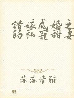 错嫁成婚之总裁的私宠甜妻版