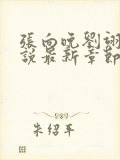 张向晚刘翊京小说最新章节更新时间