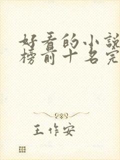 好看的小说排行榜前十名完结版