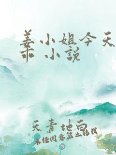 姜小姐今天也不乖 小说