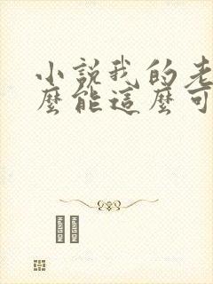 小说我的老婆怎么能这么可爱?完整版