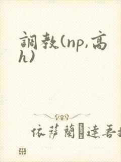 调教(np,高h)